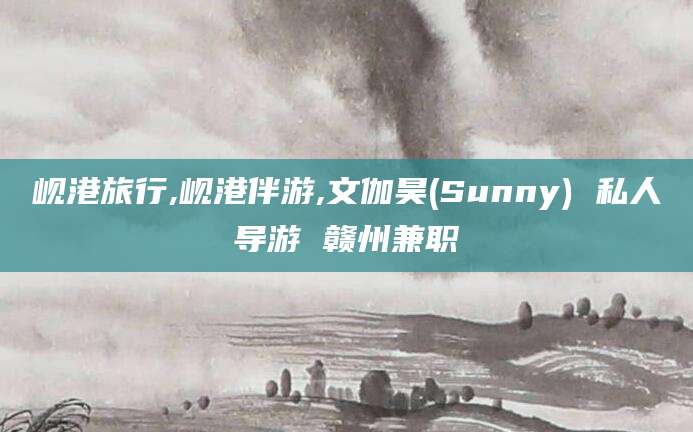 吕梁岘港旅行,岘港伴游,文伽昊(Sunny) 私人导游 赣州兼职